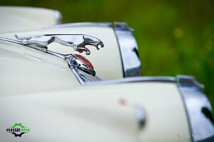 Imagen 26/51 de Jaguar XK 150 DHC (1959)
