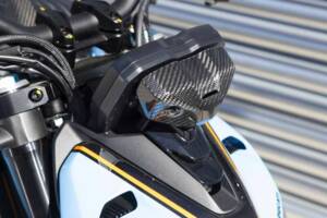 Image 24/50 of Ducati Streetfighter V4 Lamborghini (2024)
