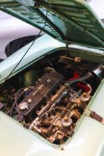 Immagine 4/40 di Austin-Healey 100/4 (BN1) (1954)