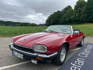 Image 1/40 of Jaguar XJS 5.3 V12 (1991)