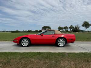 Imagen 5/43 de Chevrolet Corvette Convertible (1995)