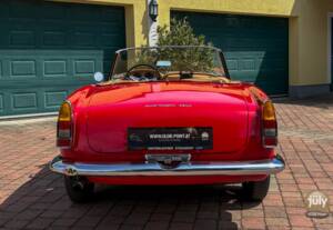 Bild 7/14 von Alfa Romeo 2600 Spider (1963)