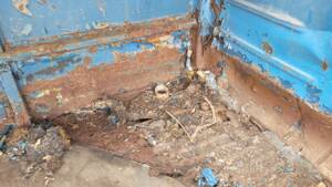 Bild 37/50 von Volkswagen T1 Kombi (1957)