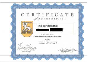 Bild 3/25 von Volkswagen Meyers Manx Buggy (1972)