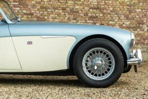 Bild 36/50 von Austin-Healey 3000 Mk I (BN7) (1960)