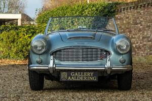 Bild 30/50 von Austin-Healey 3000 Mk I (BN7) (1960)
