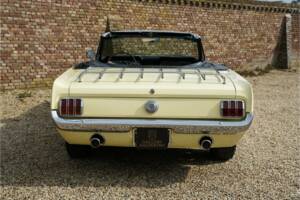 Immagine 19/50 di Ford Mustang 289 (1966)
