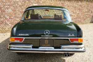 Bild 6/50 von Mercedes-Benz 280 SE 3,5 (1971)