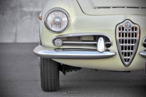 Image 9/49 of Alfa Romeo Giulia 1600 Spider (1964)