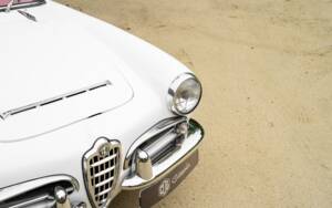 Imagen 12/42 de Alfa Romeo Giulia 1600 Spider (1964)