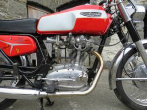 Immagine 3/46 di Ducati 350 Mark 3 D (1969)