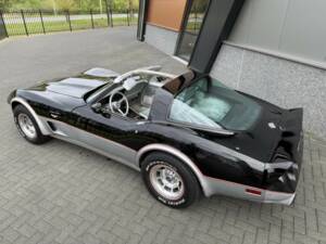 Bild 10/50 von Chevrolet Corvette 25th Anniversary (1978)
