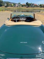 Bild 6/14 von Jaguar E-Type 3.8 (1962)