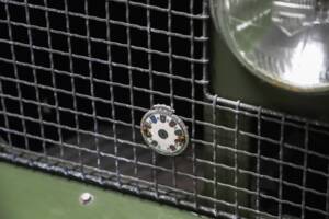 Bild 19/96 von Land Rover 88 (1961)