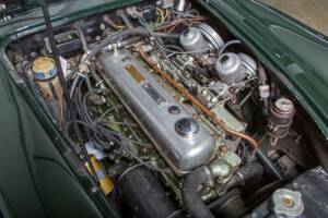 Afbeelding 19/20 van Austin-Healey 3000 Mk III (BJ8) (1966)