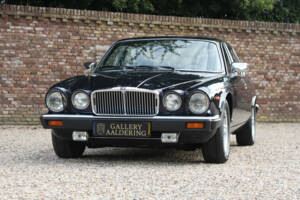 Imagen 13/50 de Jaguar XJ 12 (1985)