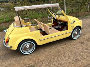 Bild 66/80 von FIAT Ghia 500 Jolly (1972)