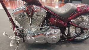 Bild 13/15 von Harley-Davidson DUMMY (2007)