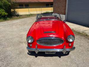 Imagen 3/19 de Austin-Healey 3000 Mk II (BJ7) (1964)