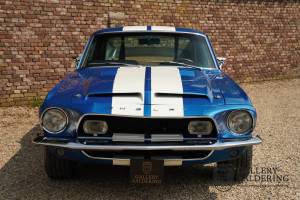 Bild 5/50 von Ford Shelby GT 500-KR (1968)