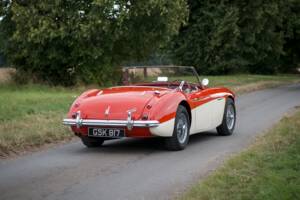 Bild 6/30 von Austin-Healey 3000 Mk I (BN7) (1959)