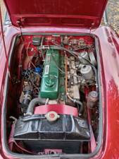 Immagine 10/23 di Austin-Healey 3000 Mk II (BJ7) (1964)