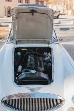 Bild 34/44 von Austin-Healey 3000 Mk III (BJ8) (1966)