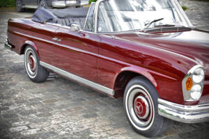 Immagine 13/71 di Mercedes-Benz 220 SE b (1961)
