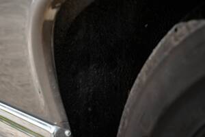 Image 73/86 of Mercedes-Benz 300 SE (1965)