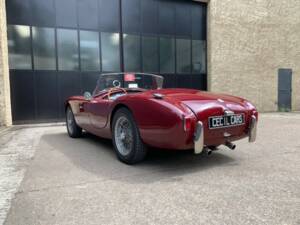 Imagen 21/40 de AC Ace Bristol (1956)