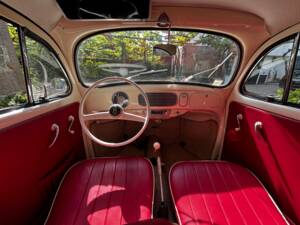 Image 2/8 of Volkswagen Beetle 1200 Standard &quot;Oval&quot; (1956)
