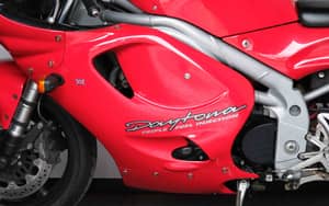 Image 34/66 of Triumph Daytona T595 (1998)