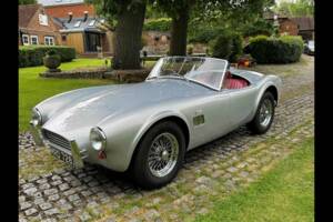 Image 1/24 of AC Cobra 289 (2001)