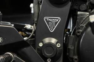 Immagine 41/50 di Triumph Trident 900 (1994)