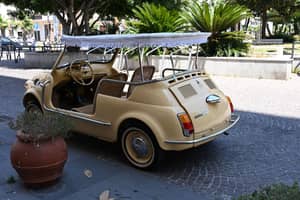 Bild 14/50 von FIAT Ghia 500 Jolly (1970)
