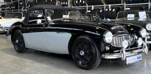 Bild 4/29 von Austin-Healey 3000 Mk I (BN7) (1959)