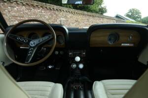 Image 12/50 of Ford Shelby GT 500 (1969)