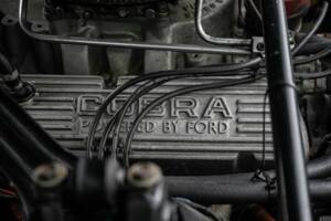 Image 19/38 of Ford Shelby GT 350H (1966)