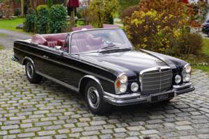 Afbeelding 7/14 van Mercedes-Benz 280 SE 3,5 (1970)
