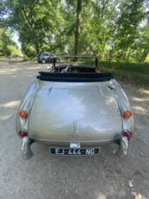 Bild 7/8 von Austin-Healey 3000 Mk III (BJ8) (1965)