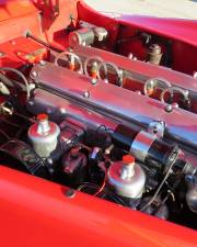 Imagen 45/50 de Jaguar XK 140 SE OTS (1955)