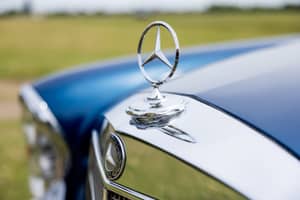 Afbeelding 34/62 van Mercedes-Benz 300 SE (1965)