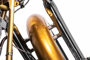 Bild 7/38 von Harley-Davidson DUMMY (2009)