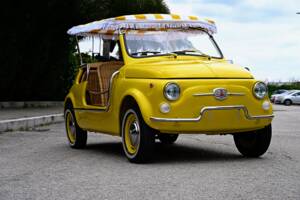 Image 5/45 of FIAT Ghia 500 Jolly (1971)