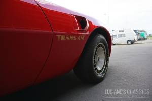 Bild 24/64 von Pontiac Firebird TransAm (1976)
