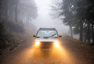 Bild 2/22 von FIAT Panda 4x4 1,0 (1989)
