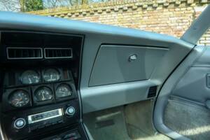 Image 28/50 of Chevrolet Corvette Indy Pace Car (1978)