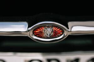 Image 14/63 of Jaguar E-Type (1969)