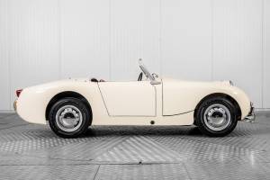 Bild 15/50 von Austin-Healey Sprite Mk I (1958)