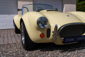 Bild 13/51 von AC Cobra 289 (1999)